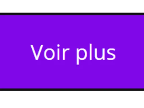 Recherchez un bug LIRMBWEB396 : slug /recherche 