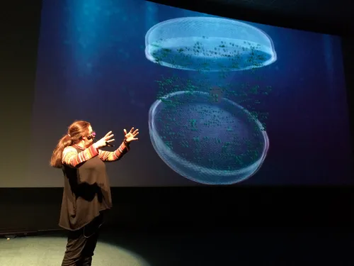 Oc&eacute;anopolis : le plancton comme vous ne l'avez jamais vu...