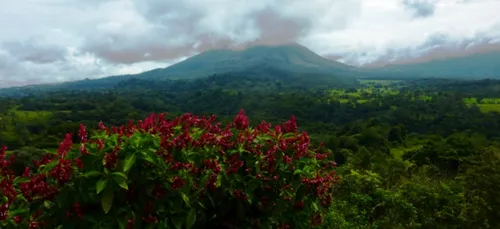 Le Costa Rica, la destination bon plan avec Air France