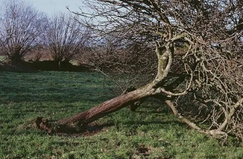 Les cons&eacute;quences de la temp&ecirc;te Marcel en Bretagne 