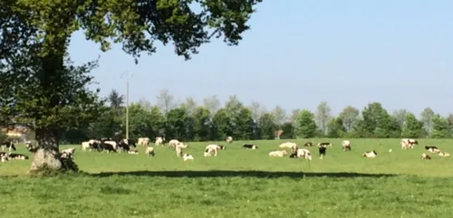 Parrainer une vache pour aider &agrave; l'installation