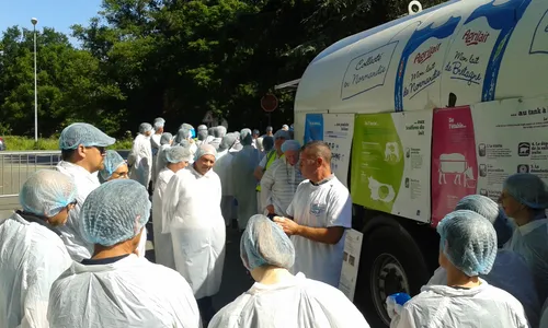 C'est la Journ&eacute;e Mondiale du Lait ! Quel est le parcours de...