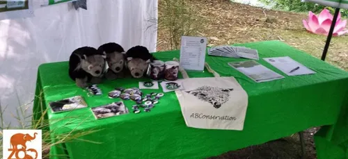 Le binturong, esp&egrave;ce menac&eacute;e du zoo de pont-Scorff 