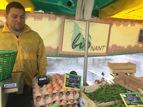 Le scandale du Fipronil profite aux producteurs d'oeufs locaux