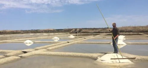Les paludiers au travail &agrave; Gu&eacute;rande