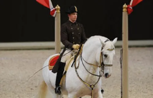 Un Comité de soutien régional pour le Cadre Noir de Saumur