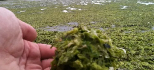 Hillion : le joggeur est décédé dans une zone à risques