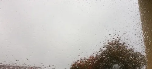 Brouillards, averses et peu d'éclaircies en Bretagne ce lundi