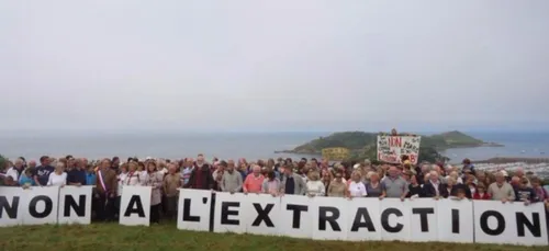 Extraction de sable : Une espèce de corail protégée découverte en...