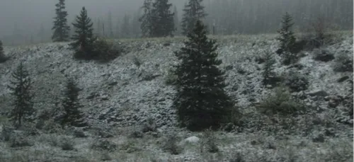 Météo : le froid s'installe sur la Bretagne