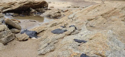 Pollution au large de Penmarch' : le capitaine et l'armateur du...