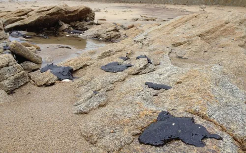 Pollution d'hydrocarbure : Un million d'euros requis pour le...