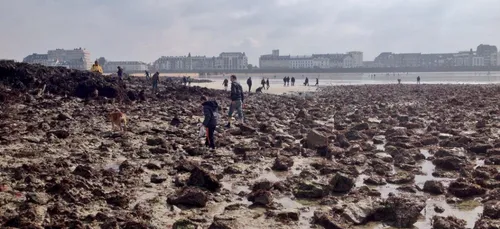 Grandes marées : double décès dans le Finistère