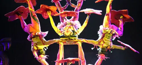 Les sorties du week-end en Pays de la Loire