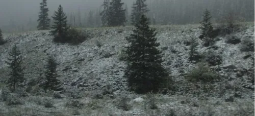 L'état des routes l'hiver sur le site internet de Bison Futé