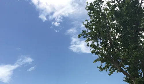 Météo : une belle journée d'hiver en Bretagne ce jeudi