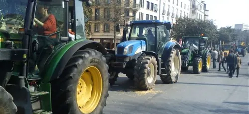 Rassemblement de Copain 44 à NDDL (Bellevue) ce matin