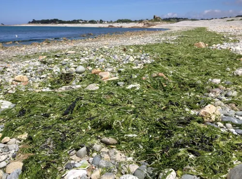 Décès du joggeur à Hillion : l'affaire bientôt classée ?