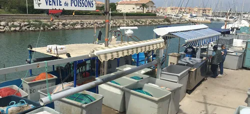 TAC : les pêcheurs inquiets