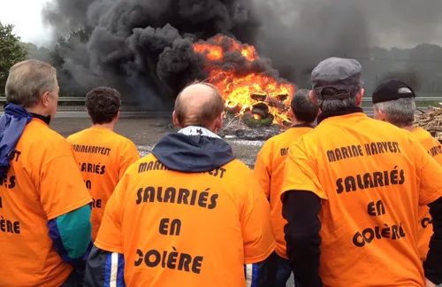 Marine Harvest : 109 anciens salariés contestent leur licenciement...
