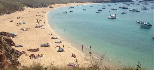 Nouvel An : Bains givrés hier en Bretagne