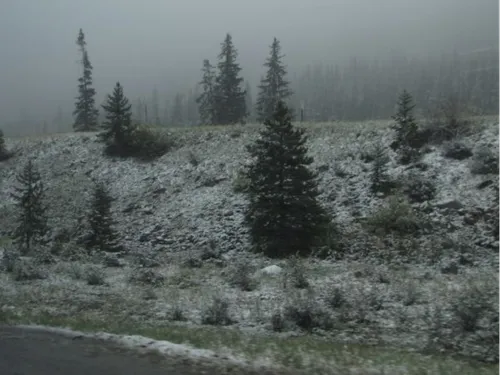 Attention aux brouillards givrants ce matin en Bretagne