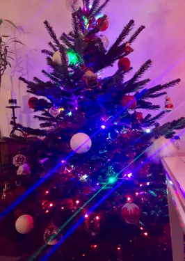 Recyclage : Opération Sapin Malin à Brest et Rennes