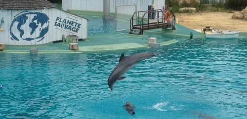 One voice / Planète Sauvage au TGI