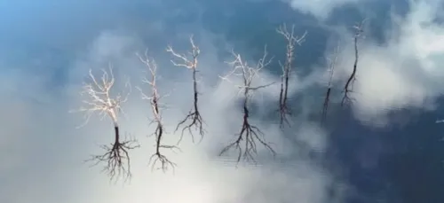 Une photo d'un jeune breton sélectionnée par le magazine américain...