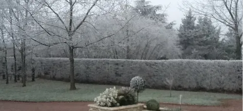 Le niveau 2 du plan hivernal déclenché