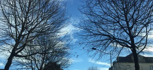 Du soleil et du froid ce jeudi en PDL