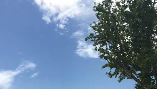 Météo : l'alerte grand froid levée en Bretagne, un beau soleil ce...