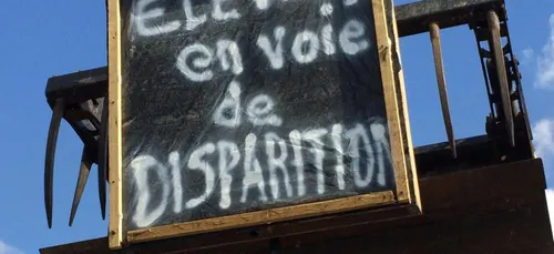 Le Foll condamne la décision de Lactalis de rompre ses contrats...