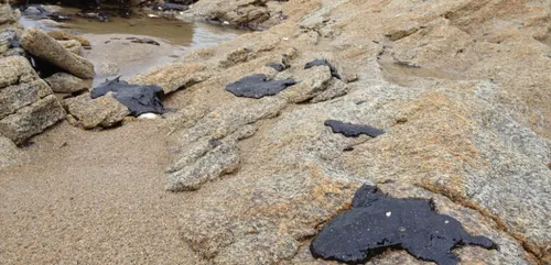 Pollution : l'armateur et le capitaine du Thisseas font appel de...