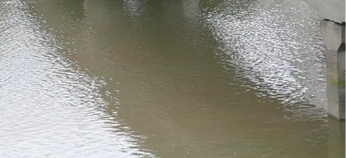 Eau : situation préoccupante dans le Maine-et-Loire