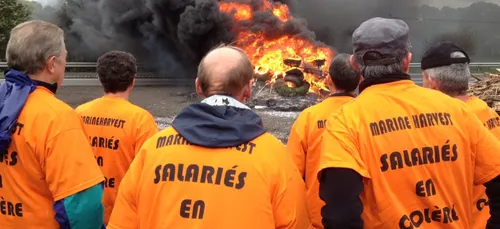 Marine Harvest : la décision du Ministre du Travail annulée par le...