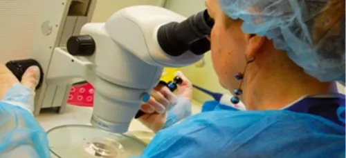 Le CHU de Nantes ouvre un centre de dons d’ovocytes