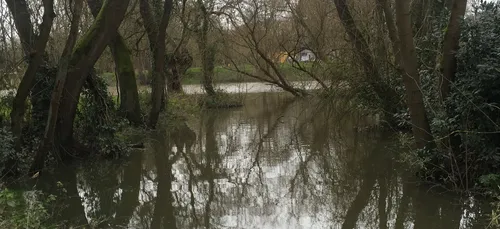 Qualité de l’eau naturelle mauvaise en Pays de la Loire