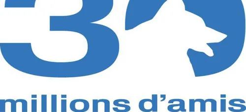 Les chevaux de Mayenne récupérés par la Fondation