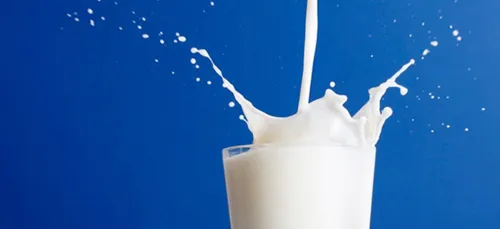 Lactalis : les 5 producteurs ligériens ont retrouvé une laiterie