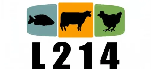 Nouvelles actions de l’association L214 dans les rues