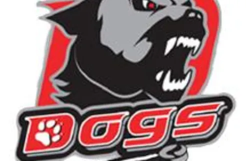 Cholet fait un grand pas vers les playoffs