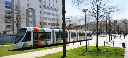 Des platanes abattus en vue de la ligne B du tram angevin