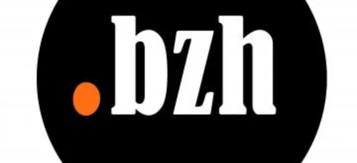 Le succès du .BZH