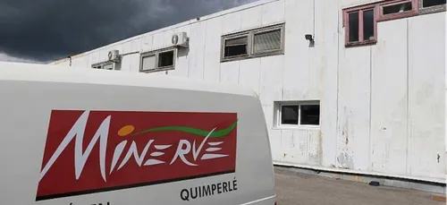 Les ex-Minerve jusqu'au Conseil d'Etat