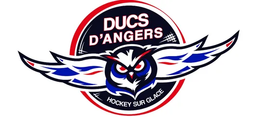 Les Ducs d'Angers égalisent