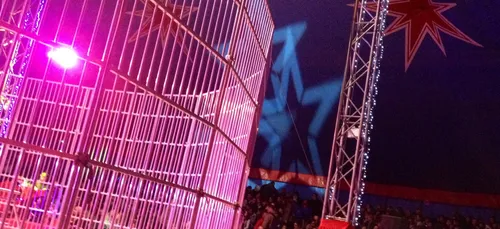 Accident de cirque dans le Morbihan