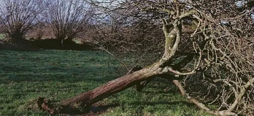 Tempête Zeus : Beaucoup de dégâts en Bretagne
