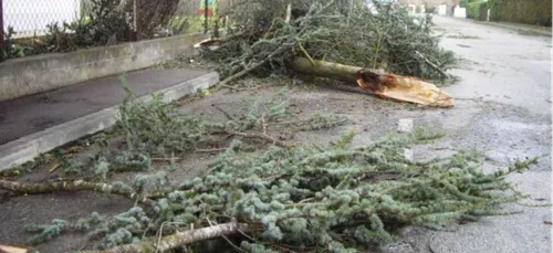 Tempête Zeus : Beaucoup de dégâts en Pays de la Loire