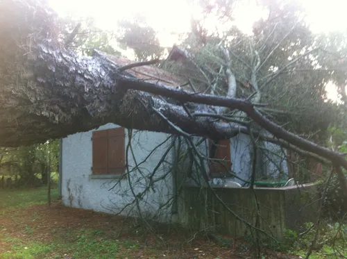 Tempête Zeus : pas d'indemnisation pour catastrophe naturelle